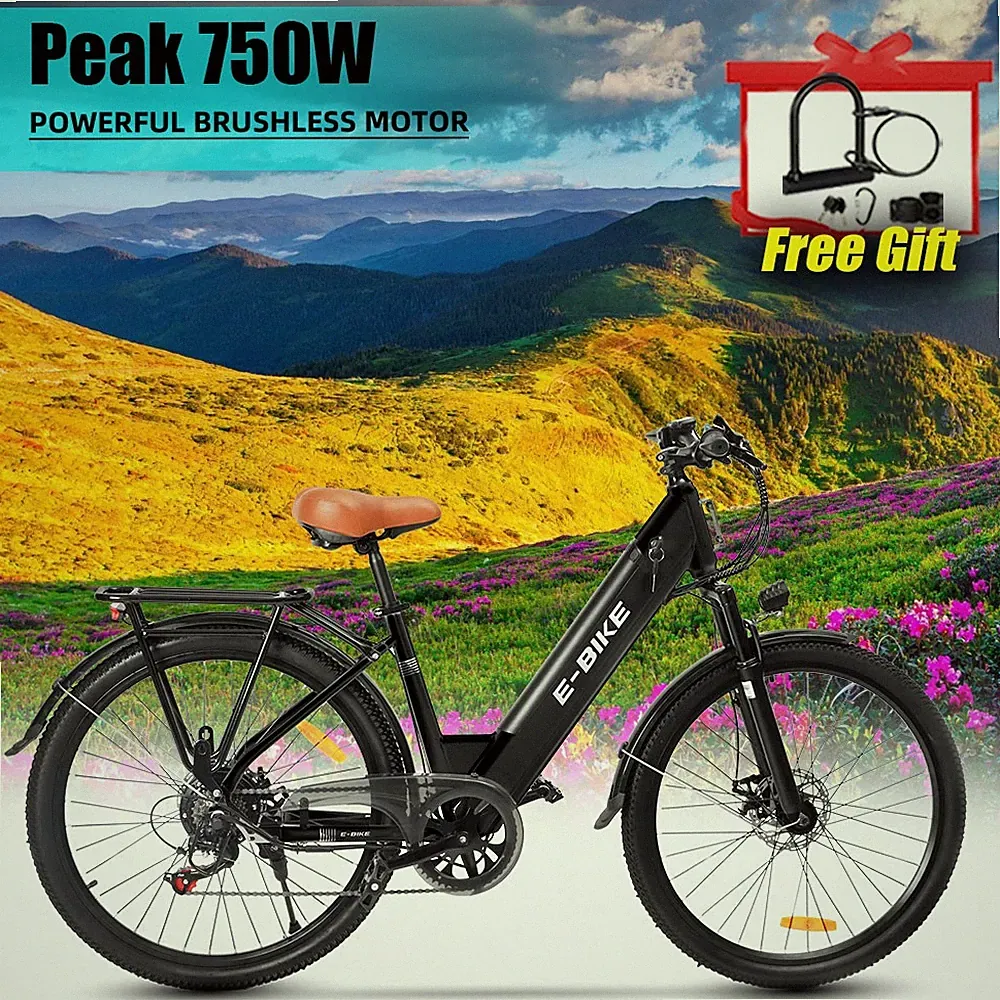 Electric Bike 26" E-bike Cruiser Bicycle Beach Road City Commuter 750W 36V